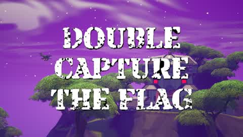 Double Capture The Flag