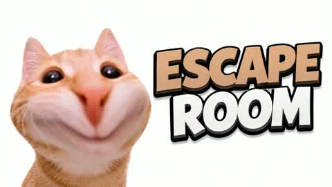 BIG CAT ESCAPE ROOM