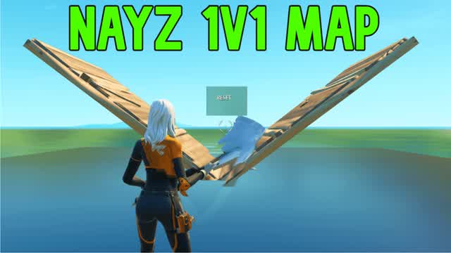 nayz 1v1
