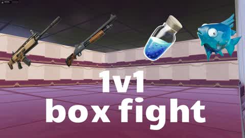 1v1  BOX FIGHT