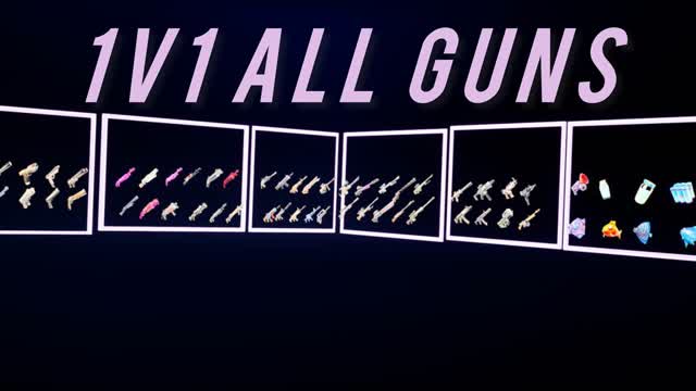 1V1 ALL GUNS     sa26ii