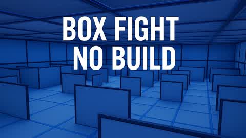 Box Fight (No Build)