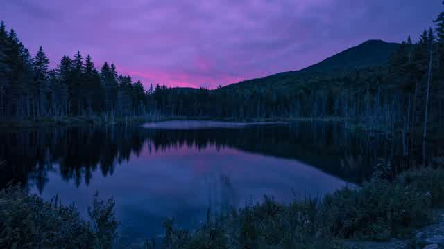 Capture 1 – Forest wars  no build