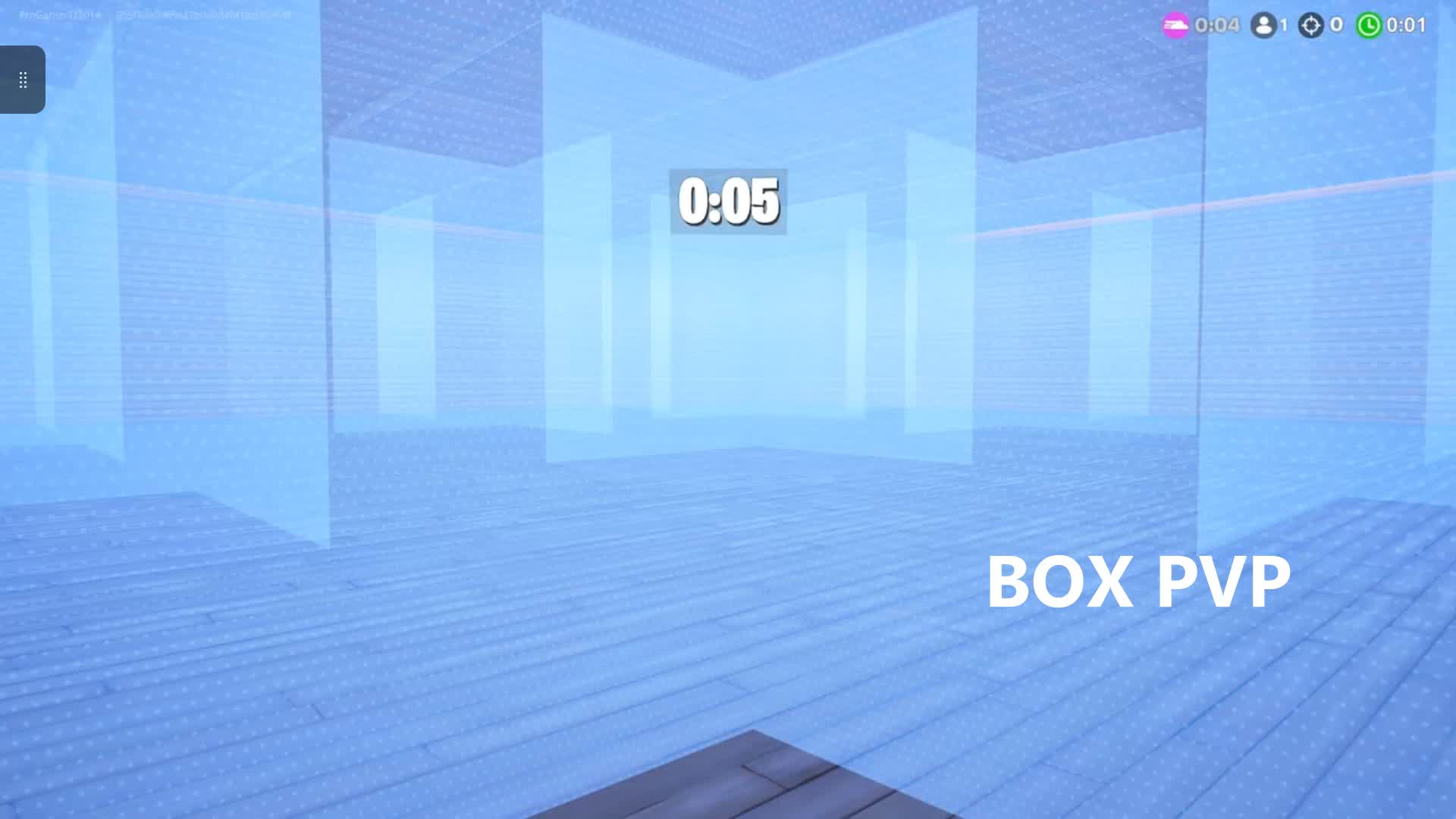 DgFam Box Fight