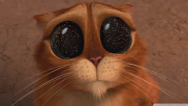 Capture 1 – Puss's party royale