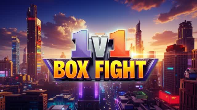1 V 1 BOX FIGHT
