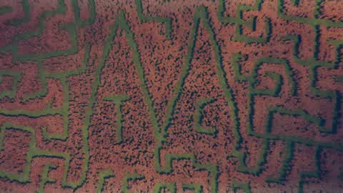 Haunted Corn Maze
