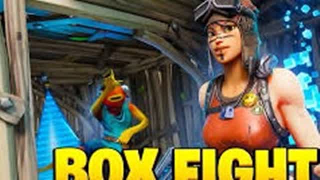 D-Rex Boxfight